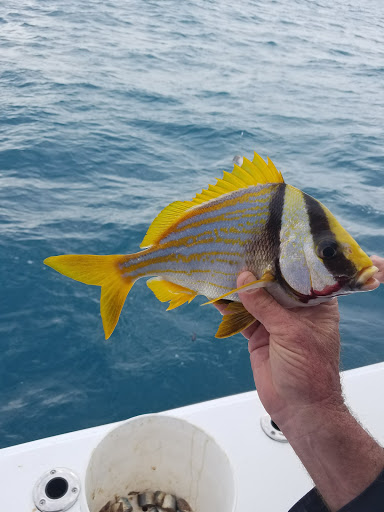 Fishing Charter «Good Time Charter Fishing», reviews and photos, 1111 Love St, Jupiter, FL 33477, USA