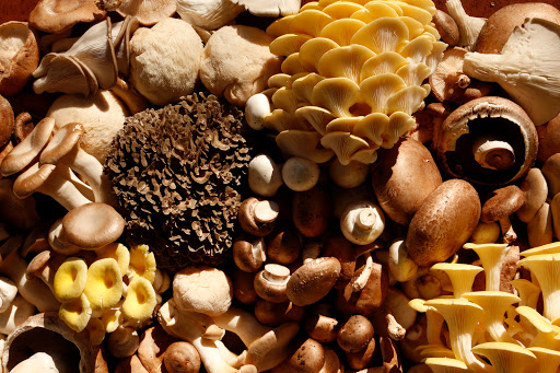 Produce Market «The Woodlands at Phillips», reviews and photos, 1020 Kaolin Rd, Kennett Square, PA 19348, USA