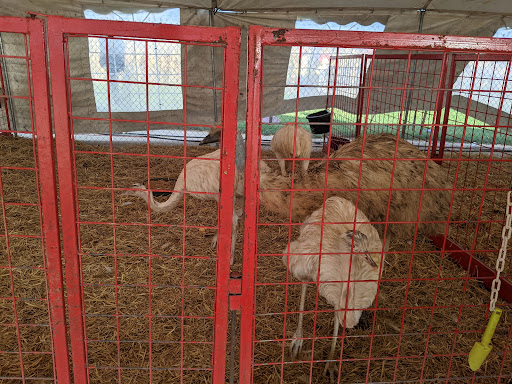 Produce Market «Didier Farms», reviews and photos, 16678 Aptakisic Rd, Lincolnshire, IL 60069, USA