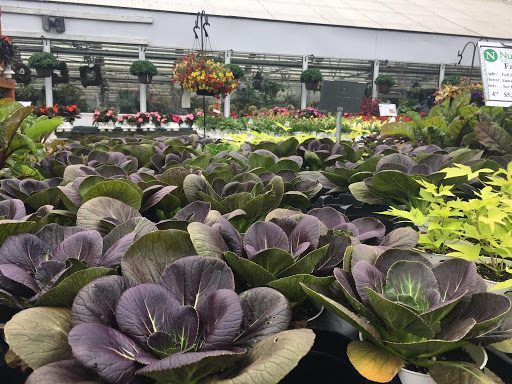 Florist «Nunan Florist & Greenhouses», reviews and photos, 269 Central St, Georgetown, MA 01833, USA