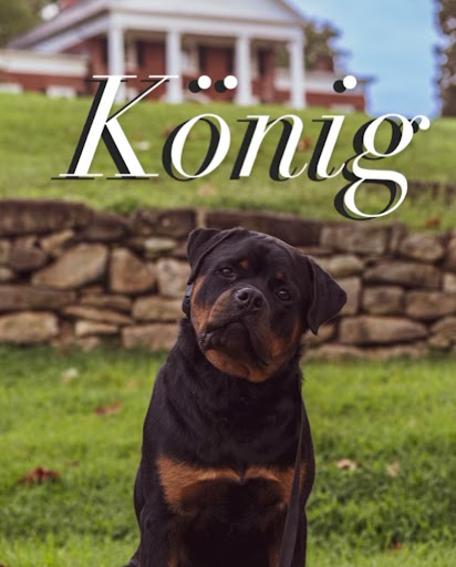 Dog Trainer «Off Leash K9 Training, Charlottesville», reviews and photos, 8782 Seminole Trail, Ruckersville, VA 22968, USA