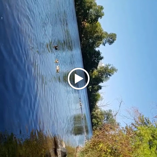 Park «Alton Baker Park», reviews and photos, 100 Day Island Rd, Eugene, OR 97401, USA