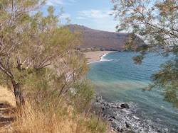 Podara beach'in fotoğrafı geniş ile birlikte