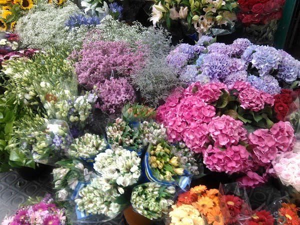 Floristería Carlos Poles
