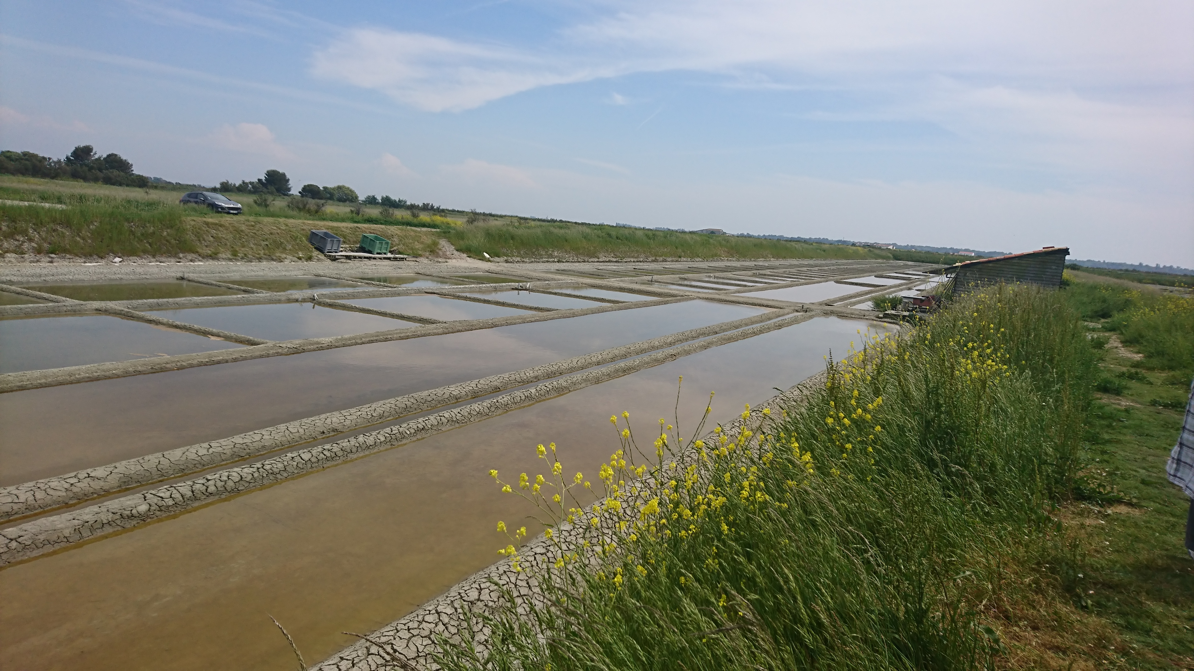 Photo n° 2 de l'avis de Anne-laure.e fait le 30/05/2018 à 06:10