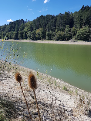 Retenue de Samognat à Samognat