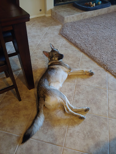 Pet Supply Store «Petco Animal Supplies», reviews and photos, 1415 E Warner Rd, Gilbert, AZ 85296, USA