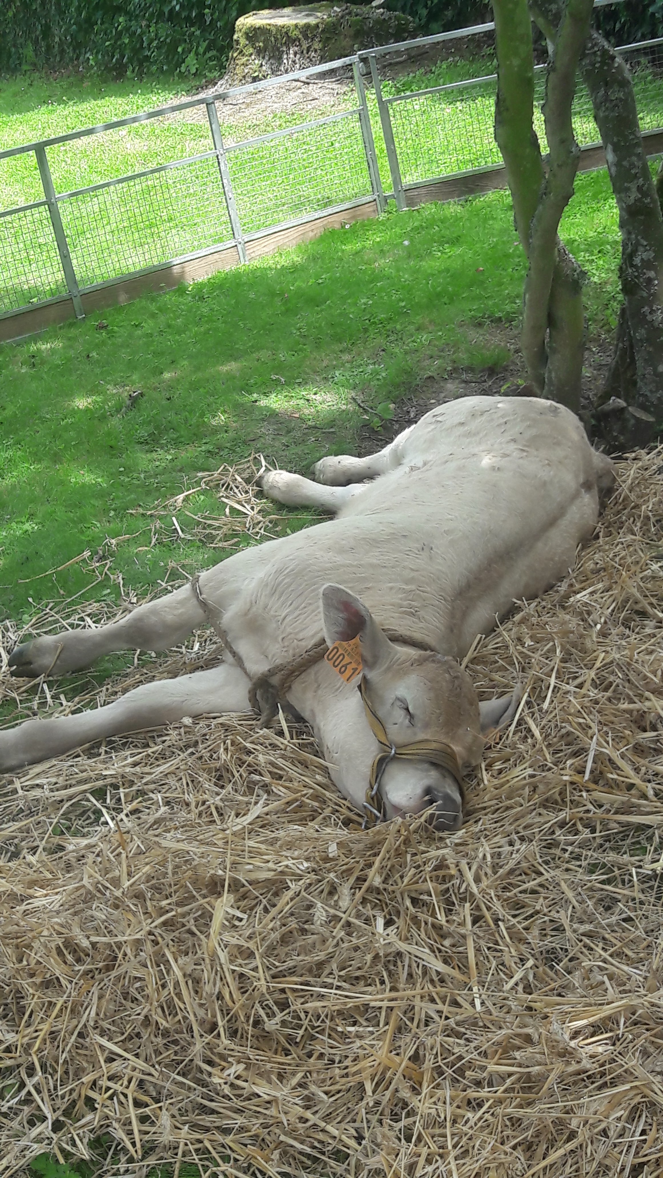 Photo n° 14 de l'avis de monique.O fait le 21/04/2018 à 14:04