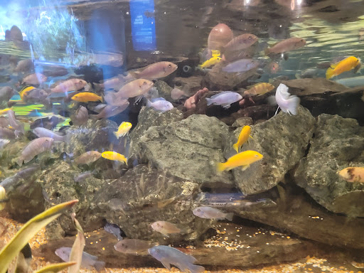 Shopping Mall «Newport on the Levee», reviews and photos, 1 Levee Way, Newport, KY 41071, USA