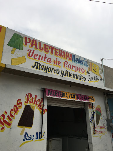 PALETERIA VENTA DE CARPIO