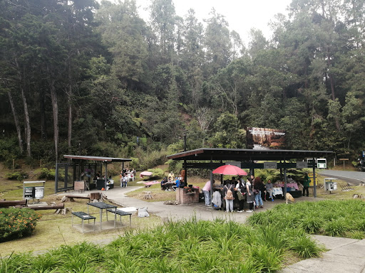 Lugares para acampar en Medellin