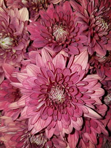 Grocery Store «Grocery Outlet Bargain Market», reviews and photos, 66 N Londonderry Square #300, Palmyra, PA 17078, USA