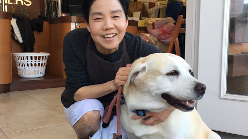 Dry Cleaner «Cleaners La Jolla», reviews and photos, 6902 La Jolla Blvd A, La Jolla, CA 92037, USA