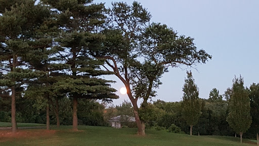 Golf Course «Douglaston Golf Course», reviews and photos, 6320 Marathon Pkwy, Douglaston, NY 11363, USA