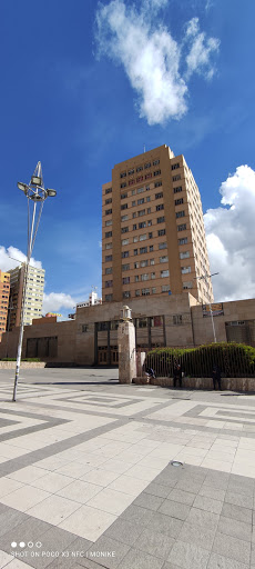 Higher University of San Andrés (UMSA)