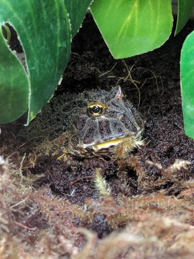 Pet Supply Store «Petco Animal Supplies», reviews and photos, 3320 Stockton Hill Rd, Kingman, AZ 86409, USA