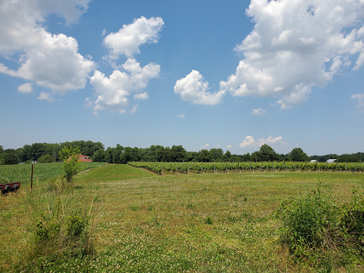 Winery «The Hague Winery, Inc.», reviews and photos, 8268 Cople Hwy, Hague, VA 22469, USA