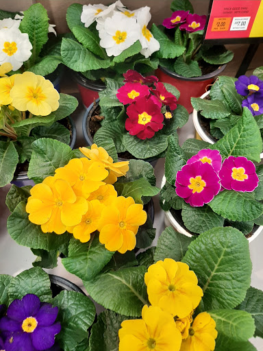 Supermarket «Super Stop & Shop», reviews and photos, 3900 Falmouth Rd, Marstons Mills, MA 02648, USA