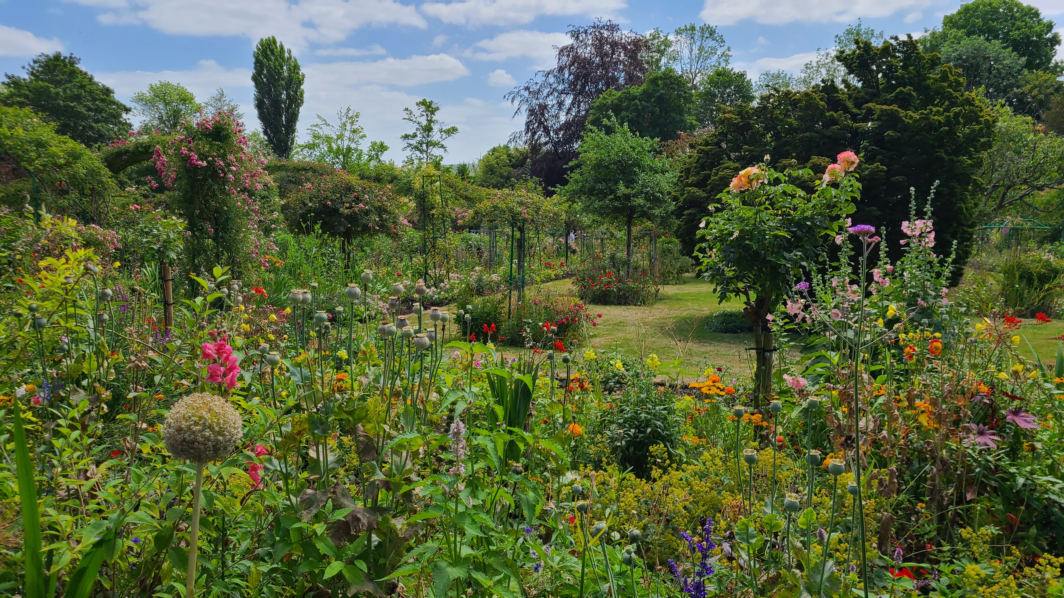 Photo n° 5 de l'avis de Claudia.r fait le 13/07/2023 à 09:22