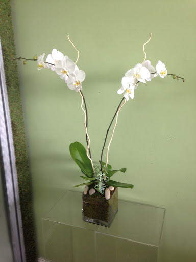 Florist «Aventura Florist», reviews and photos, 20445 Biscayne Blvd, Aventura, FL 33180, USA