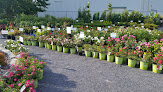 Green Thumb Garden Centre