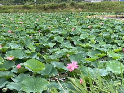 東池