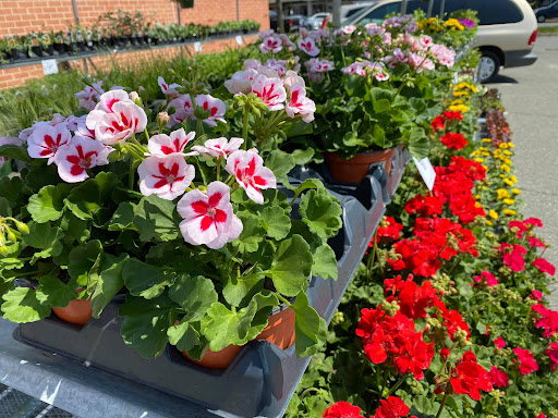 Hardware Store «Taylor’s Do it Center», reviews and photos, 2865 Lynnhaven Dr, Virginia Beach, VA 23451, USA