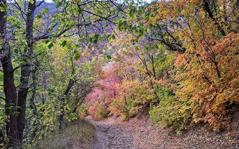 Left Fork Maple Canyon Trailhead image