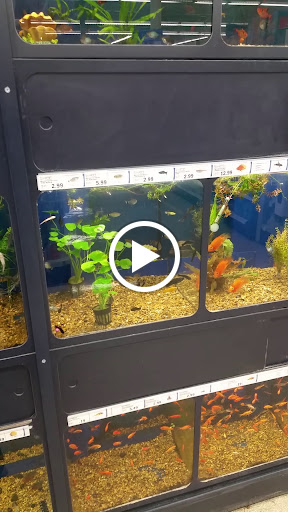 Grocery Store «Meijer», reviews and photos, 8650 W Grand River Ave, Brighton, MI 48116, USA