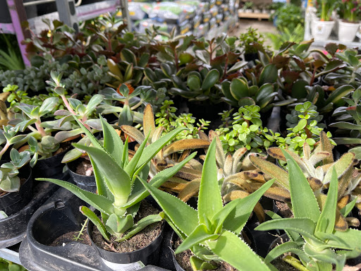 Home Improvement Store «The Home Depot», reviews and photos, 7251 Bell Creek Rd, Mechanicsville, VA 23111, USA