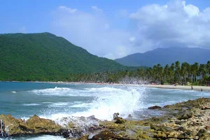 Bahía de Patanemo image