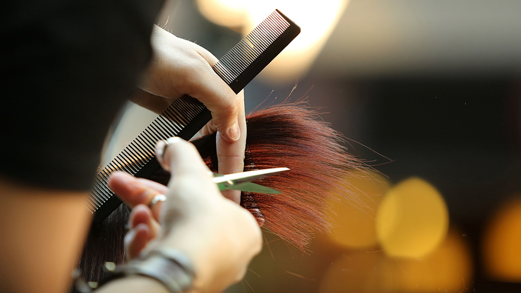 Bella's Salon & Dry Bar 11772