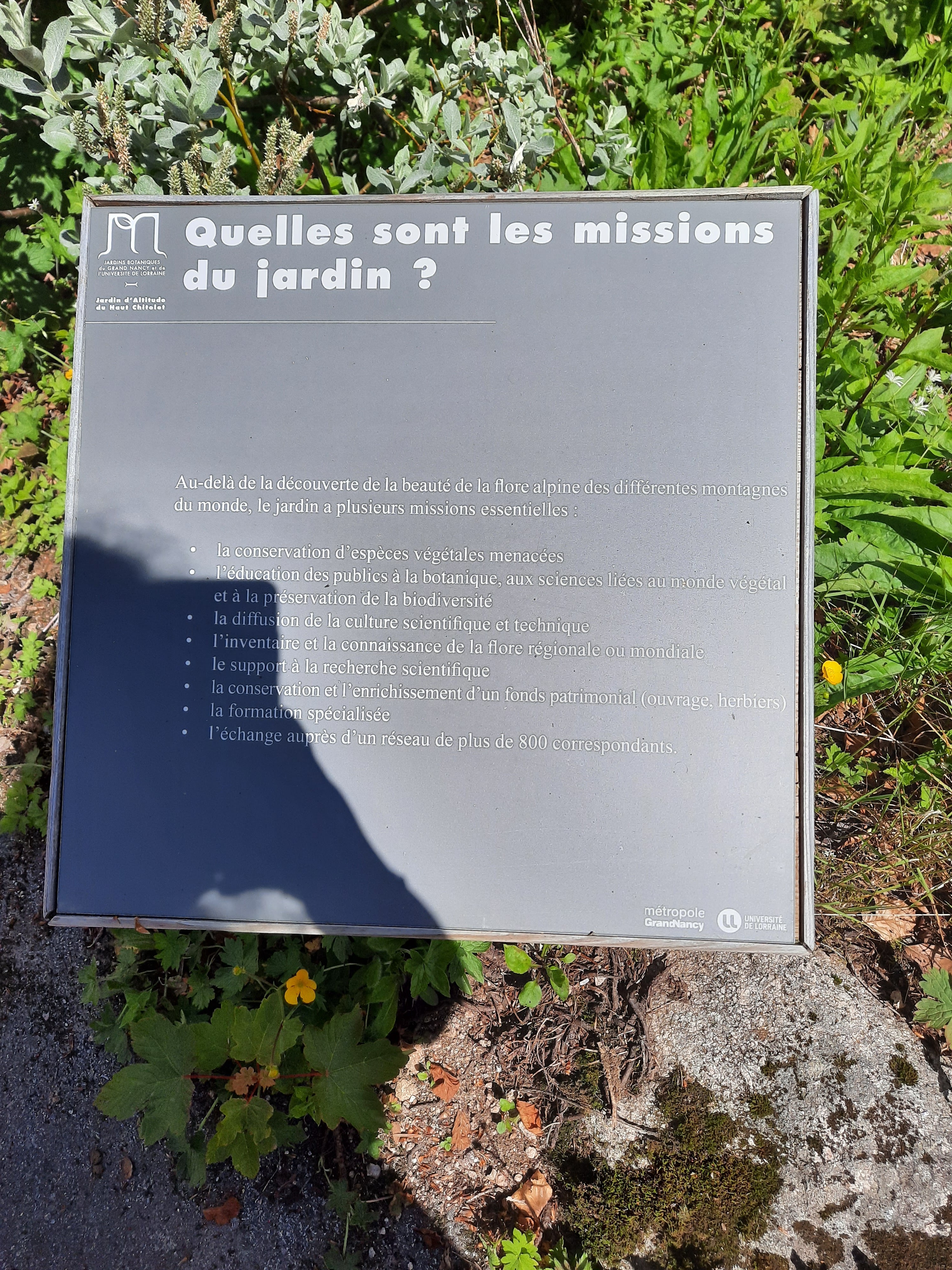 Photo n° 3 de l'avis de Victoria.e fait le 22/06/2020 à 21:37