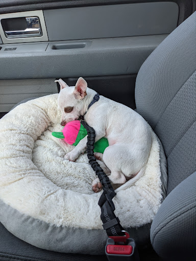 Shopping Mall «Southgate Shopping Center», reviews and photos, 13545 Eureka Rd, Southgate, MI 48195, USA