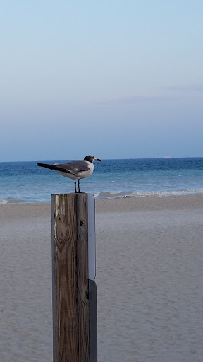 Amusement Park «Casino Pier & Breakwater Beach», reviews and photos, 800 Ocean Terrace, Seaside Heights, NJ 08751, USA