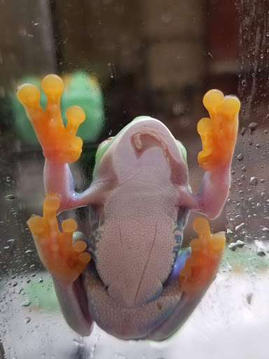 Pet Supply Store «Petco Animal Supplies», reviews and photos, 8551 S Howell Ave, Oak Creek, WI 53154, USA