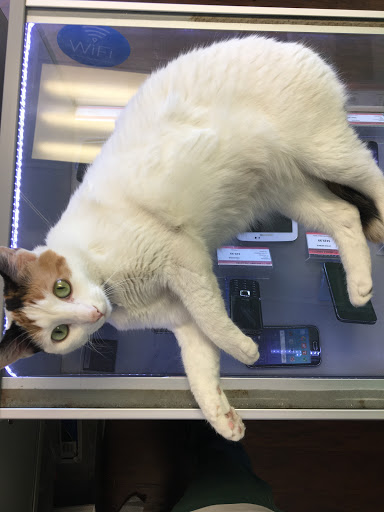 Cell Phone Store «8G Wireless», reviews and photos, 10133 Rosecrans Ave, Bellflower, CA 90706, USA