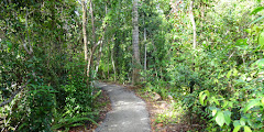 Anhinga Trail