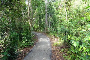 Anhinga Trail