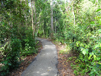 Anhinga Trail