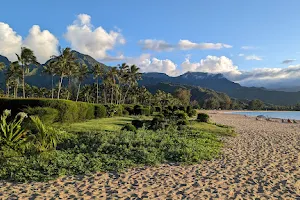 Hanalei Beach image