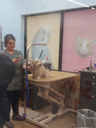 Pet Supply Store «PetSmart», reviews and photos, 5812 Youngstown Warren Rd, Niles, OH 44446, USA