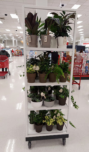 Department Store «Target», reviews and photos, 850 W North Ave, Melrose Park, IL 60160, USA