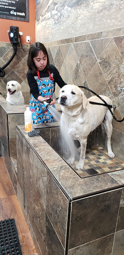 Pet Store «Pet Valu», reviews and photos, 99 E Main Rd, Middletown, RI 02852, USA