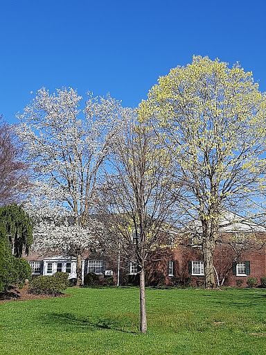 Discount Store «Walmart», reviews and photos, County Rd 513, Clinton, NJ 08809, USA