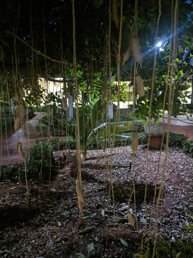 Performing Arts Theater «Barbara B. Mann Performing Arts Hall», reviews and photos, 13350 FSW Pkwy, Fort Myers, FL 33919, USA