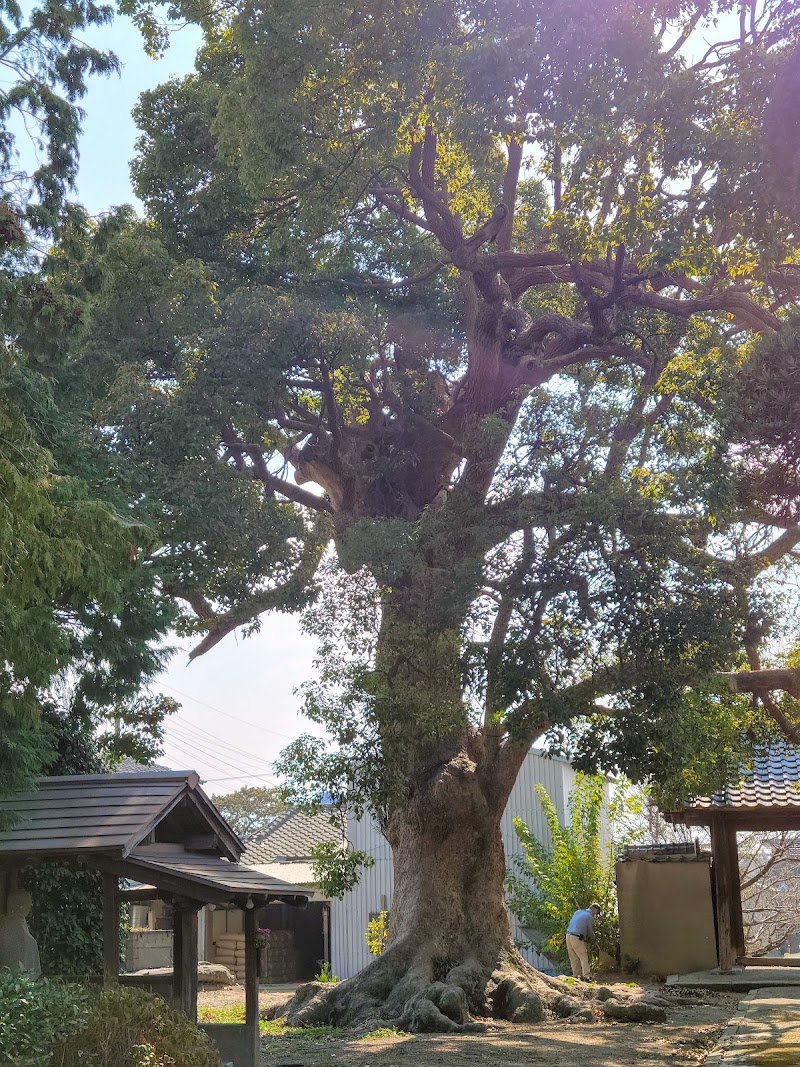 朝日寺