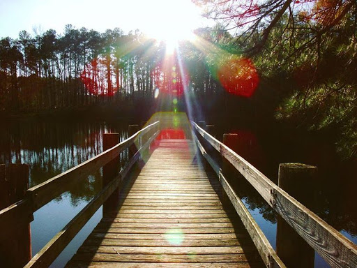 Nature Preserve «Reynolds Nature Preserve», reviews and photos, 5665 Reynolds Rd, Morrow, GA 30260, USA