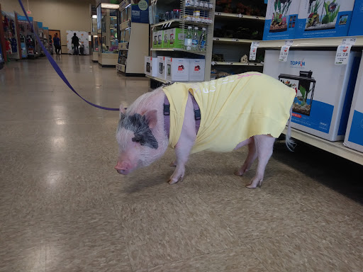 Pet Supply Store «PetSmart», reviews and photos, 310 N White Horse Pike, Lawnside, NJ 08045, USA