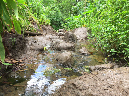 Kanealole Trail